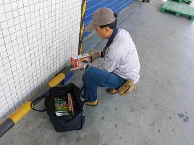 食品廠老鼠防治方案，早用早省心 清潔服務助您無憂經營