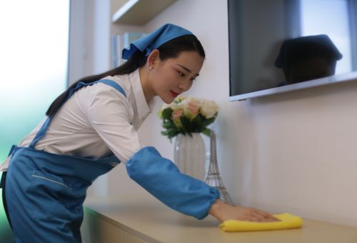 雙十一蘇寧家電服務(wù)爆量，油煙機(jī)清洗何以成為清潔服務(wù)“爆款”？